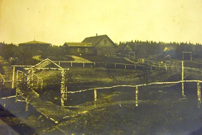 Jordhytte med Hegn af hvide Birkestammer