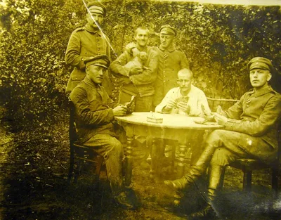 Harvesting Byg with Selvbinder, July 1917