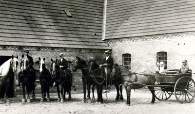 Bækgaarden: Trine, Anna og Peter i jumbe