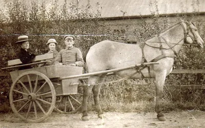Bækgaarden, Fyn - post-war